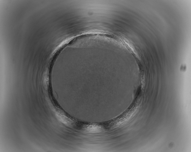 X0000099410348200805161027