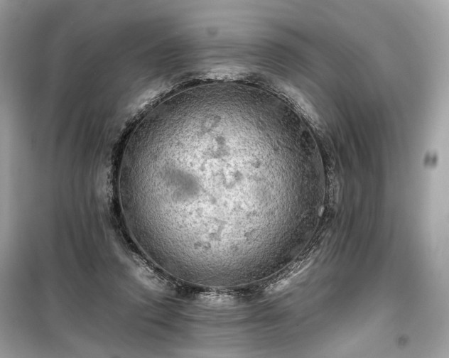 X0000099410354200805161027