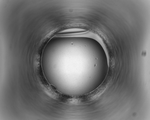 X0000099410356200805161027
