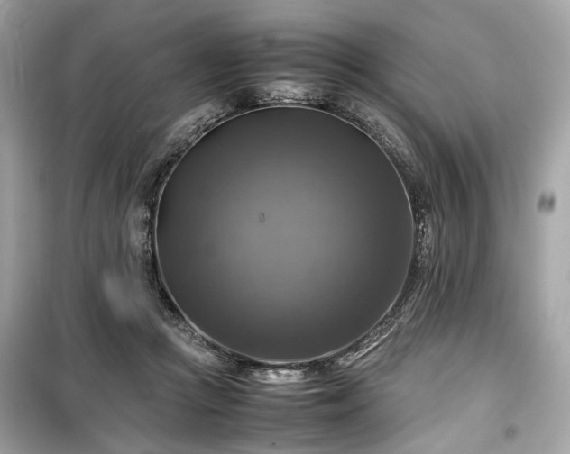 X0000099410361200805161027