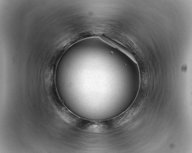 X0000099410364200805161027