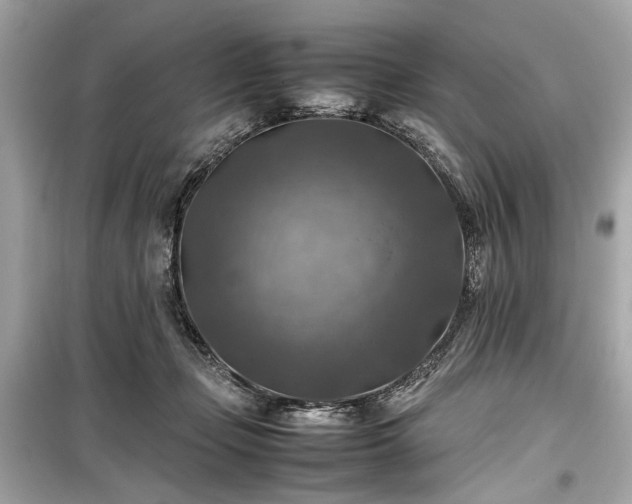 X0000099410365200805161027