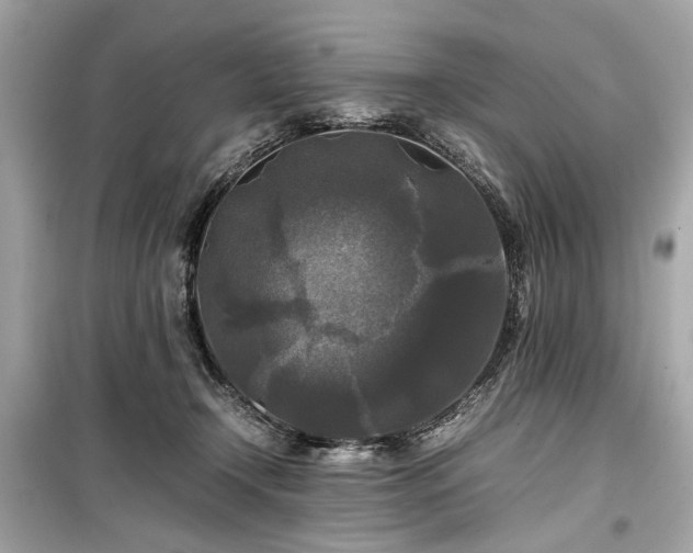 X0000099410366200805161027