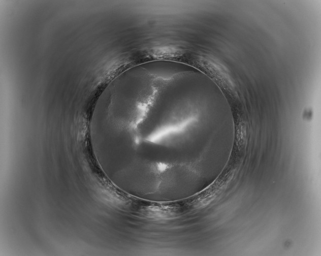 X0000099410367200805161027