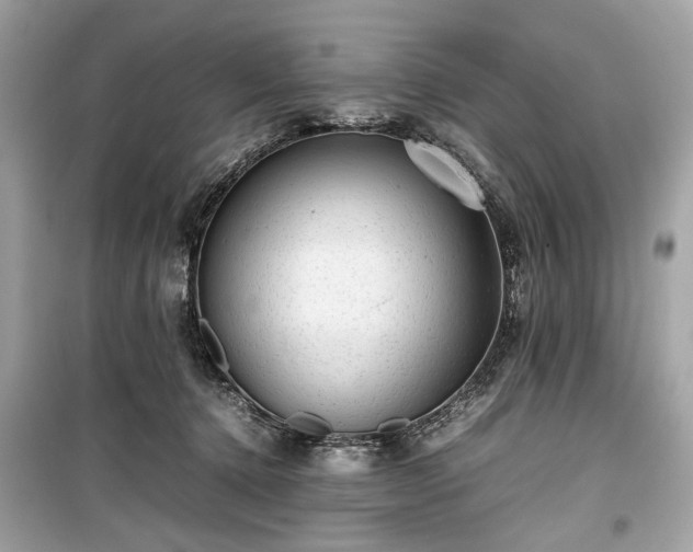 X0000099410368200805161027