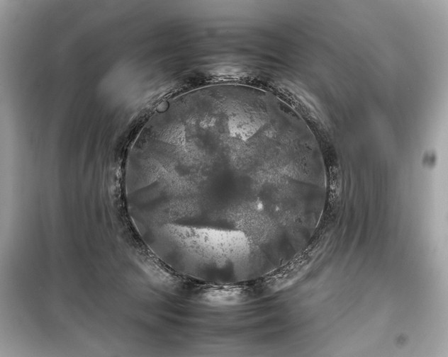 X0000099410369200805161027