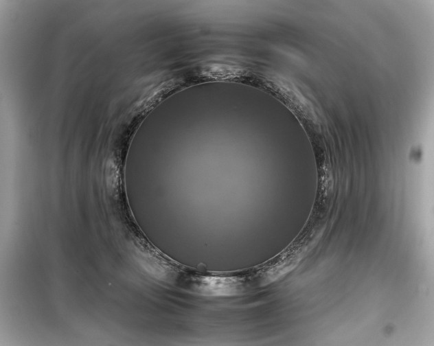 X0000099410371200805161027