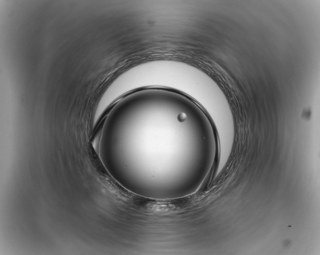 X0000099410372200805161027
