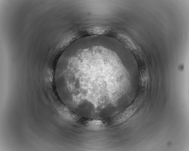 X0000099410374200805161027