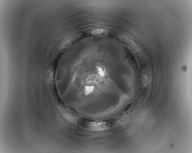 X0000099410375200805161027