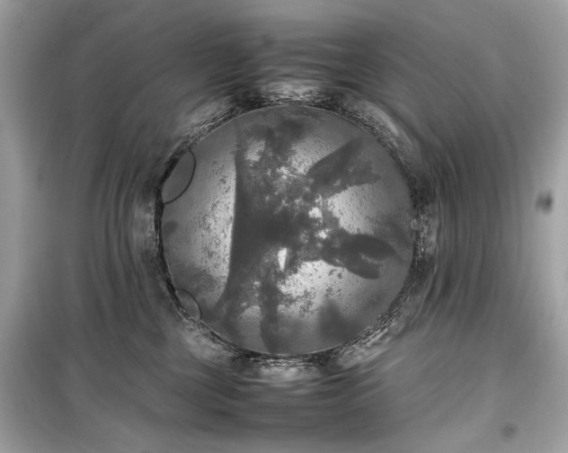 X0000099410377200805161027