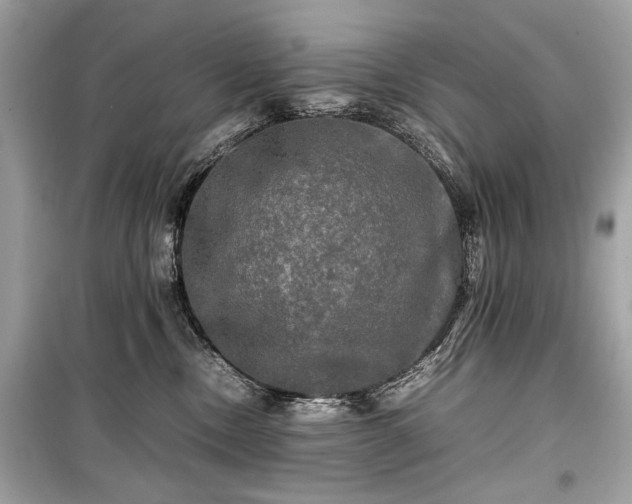 X0000099410378200805161027