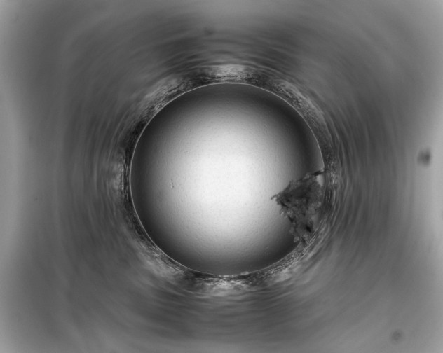 X0000099410379200805161027