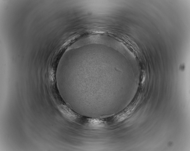 X0000099410380200805161027