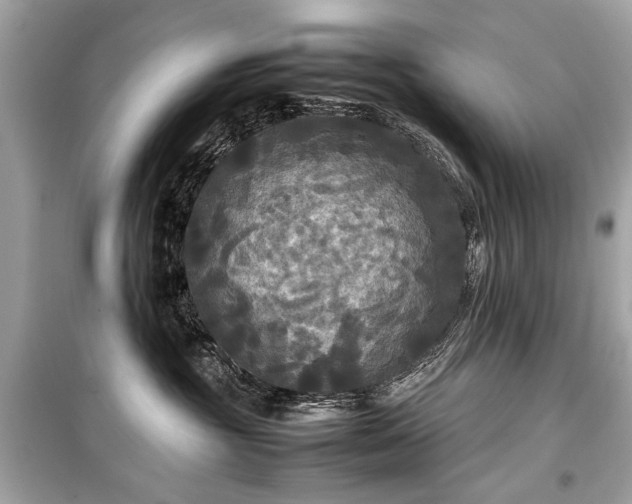 X0000099410381200805161027