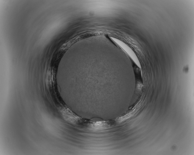 X0000099410382200805161027