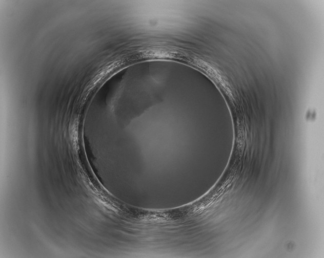 X0000099410386200805161027
