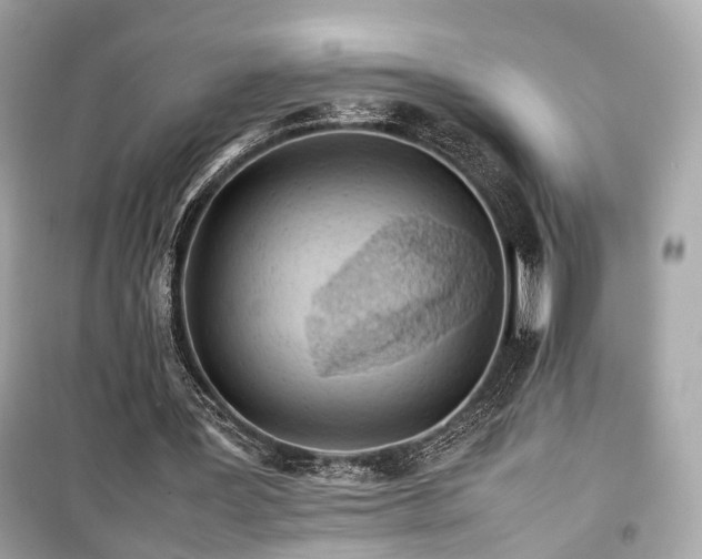 X0000099410387200805161027