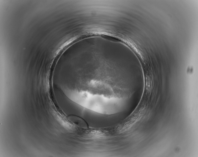 X0000099410390200805161027