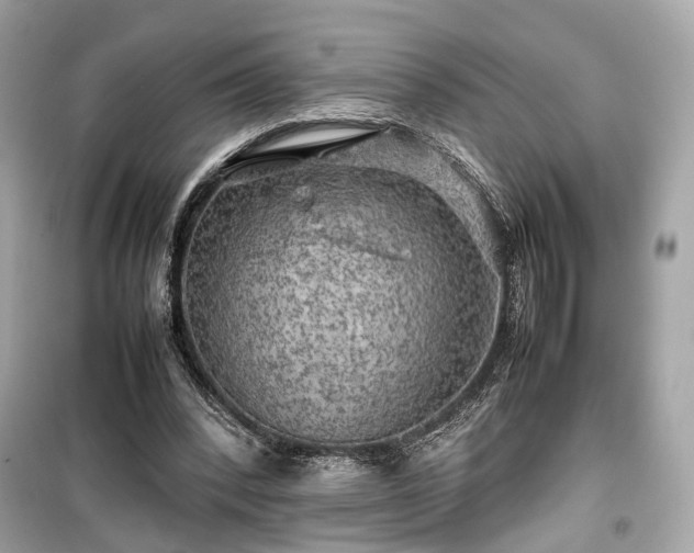 X0000099410392200805161027