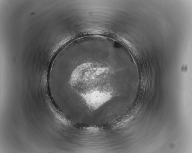 X0000099410394200805161027