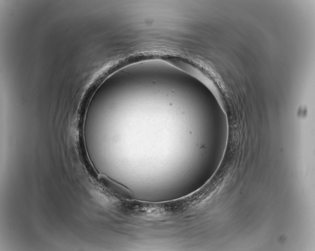 X0000099410395200805161027