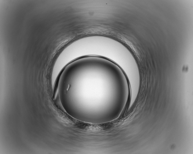 X0000099410403200805161027