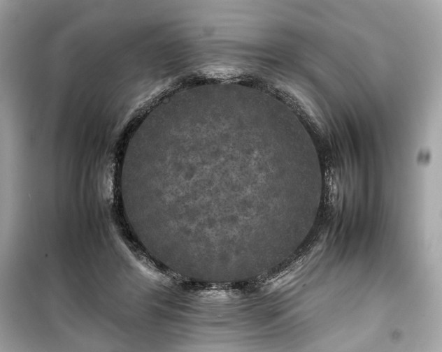 X0000099410404200805161027