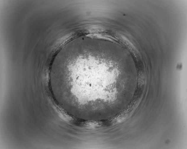X0000099410405200805161027