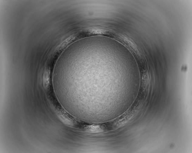 X0000099410406200805161027
