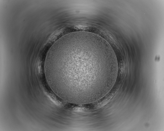 X0000099410408200805161027