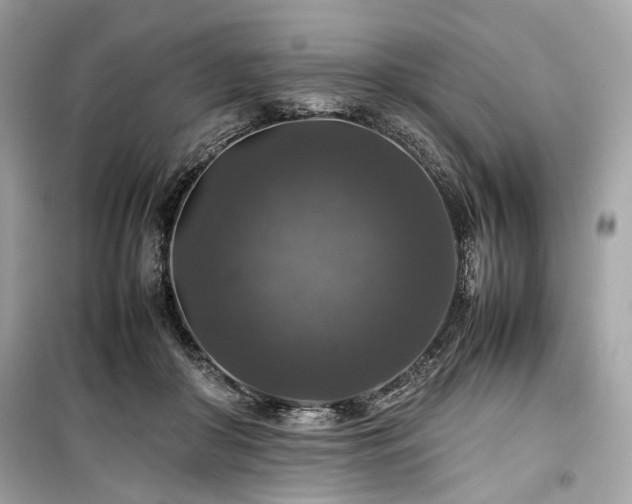X0000099410410200805161026