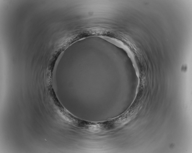 X0000099410411200805161026