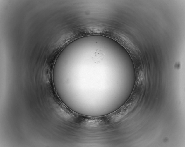 X0000099410414200805161026