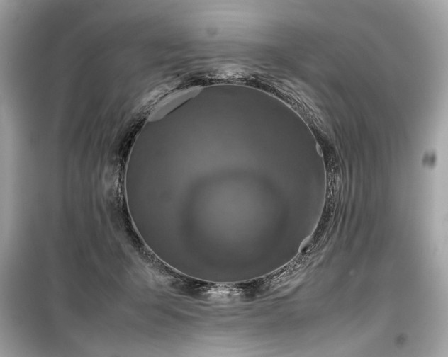 X0000099410415200805161026