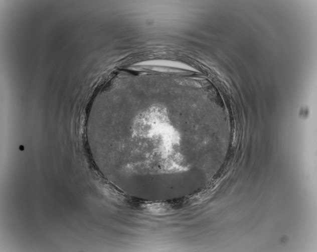 X0000099410417200805161026