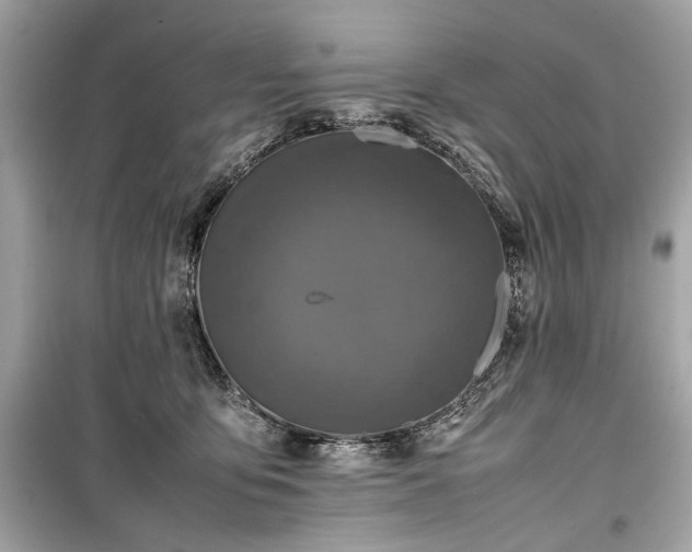 X0000099410419200805161026