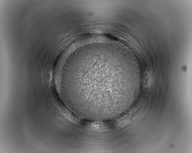 X0000099410420200805161026