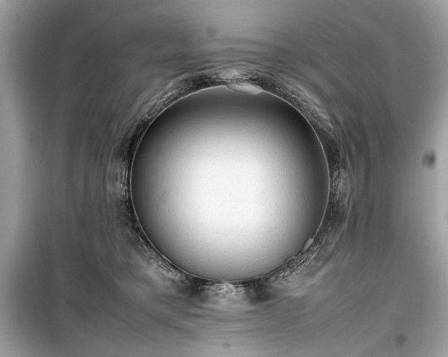 X0000099410421200805161026