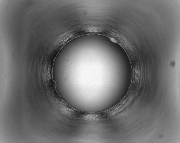 X0000099410422200805161026