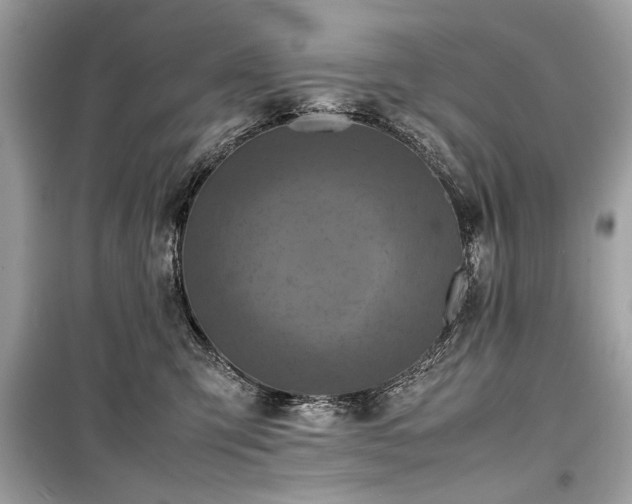 X0000099410423200805161026