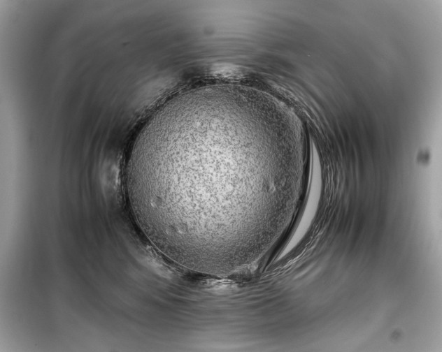 X0000099410424200805161026