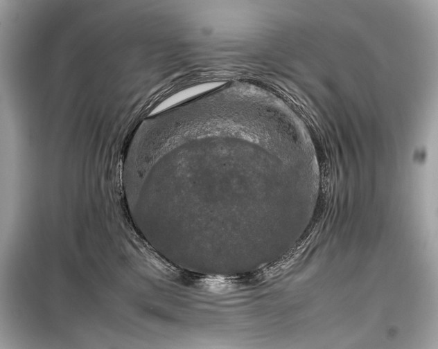 X0000099410425200805161026