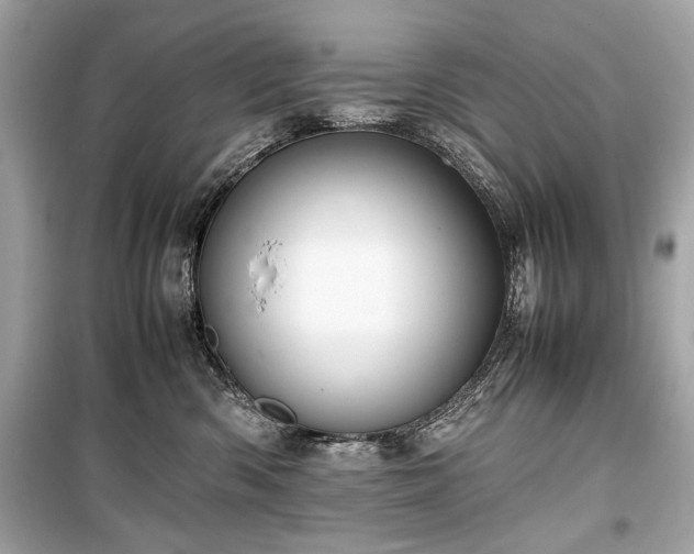 X0000099410426200805161026