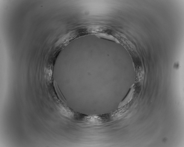 X0000099410427200805161026