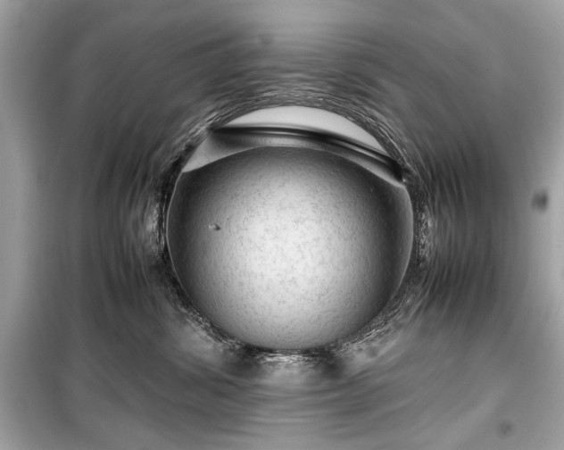 X0000099410428200805161026