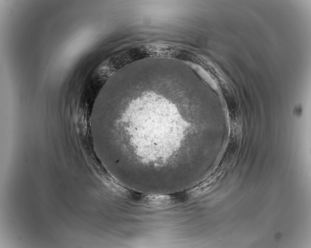 X0000099410429200805161026
