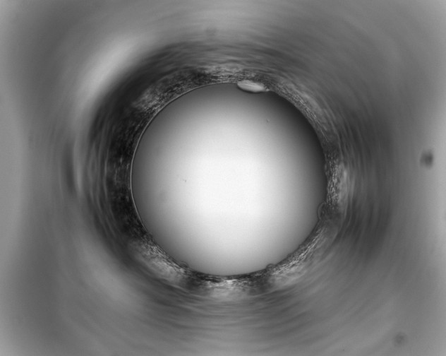 X0000099410430200805161026