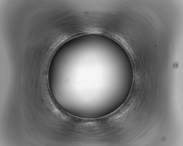 X0000099410433200805161025