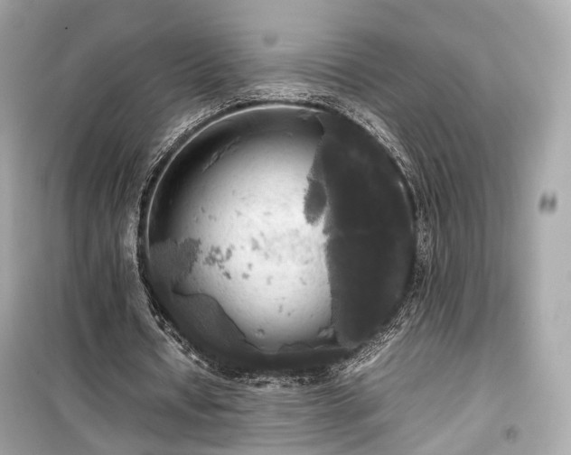 X0000099410434200805161025
